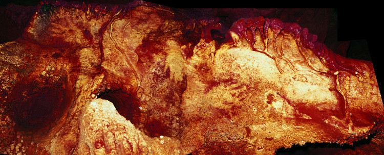 Picture 2 of Unexpected discovery: the oldest cave art belongs to Neanderthals