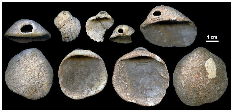 Picture 3 of Unexpected discovery: the oldest cave art belongs to Neanderthals
