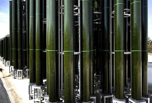 Picture 2 of Unexpected energy sources for the future