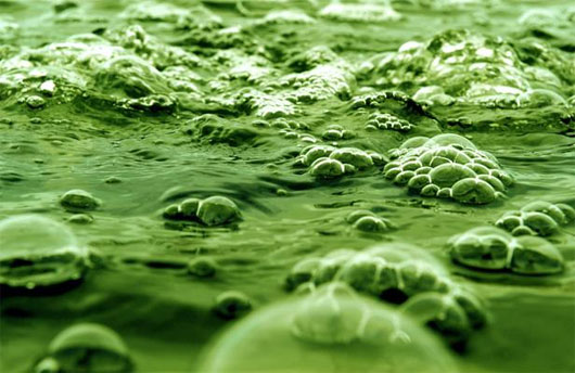 Picture 5 of Unexpected energy sources for the future
