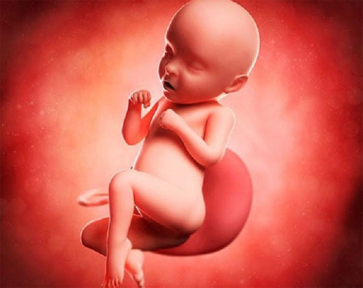 Picture 2 of Unexpected events happen when you are in the womb