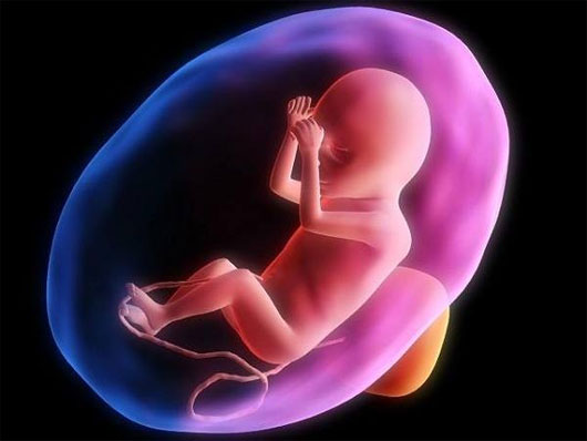 Picture 4 of Unexpected events happen when you are in the womb
