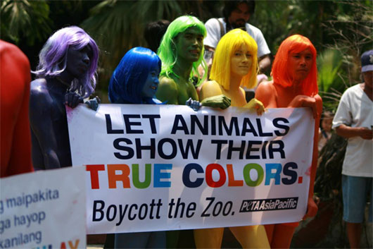 Picture 4 of Unexpected facts about the zoo