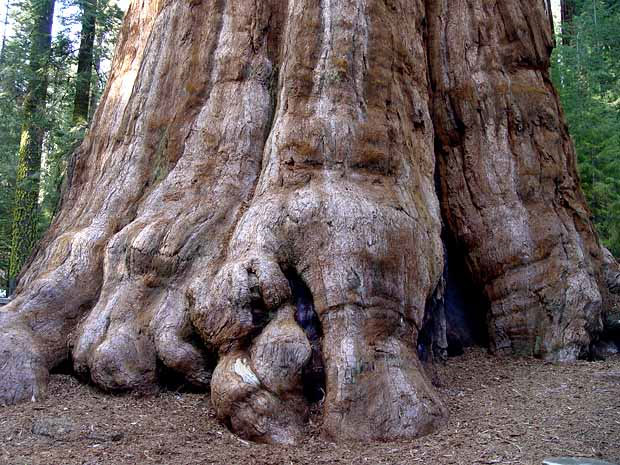 Picture 4 of Unexpected surprises about Earth