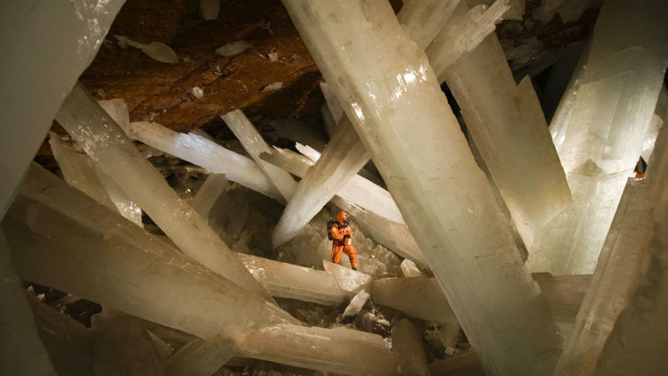Picture 1 of Unexpectedly discovered 'super life' up to 50,000 years old