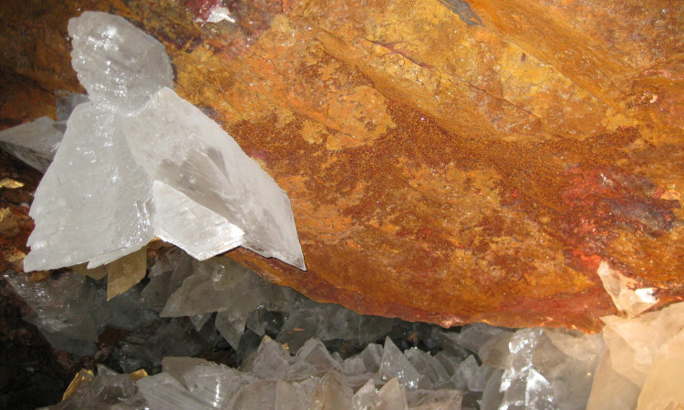 Picture 2 of Unexpectedly discovered 'super life' up to 50,000 years old