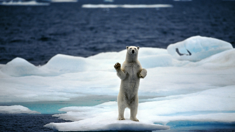 Picture 2 of Unexpectedly, there is a warmer Arctic day than many European countries