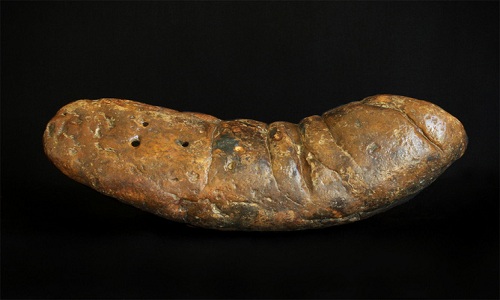 Picture 3 of Unique animal fossil patterns in the world
