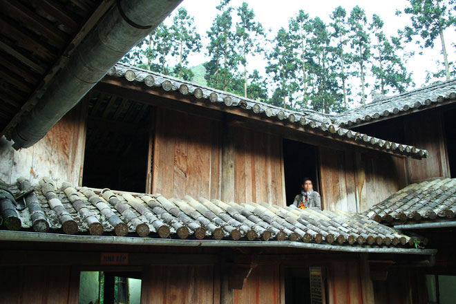 Picture 10 of Unique architecture of the Cat mansion