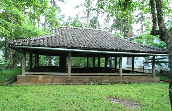 Picture 20 of Unique architecture of the Cat mansion