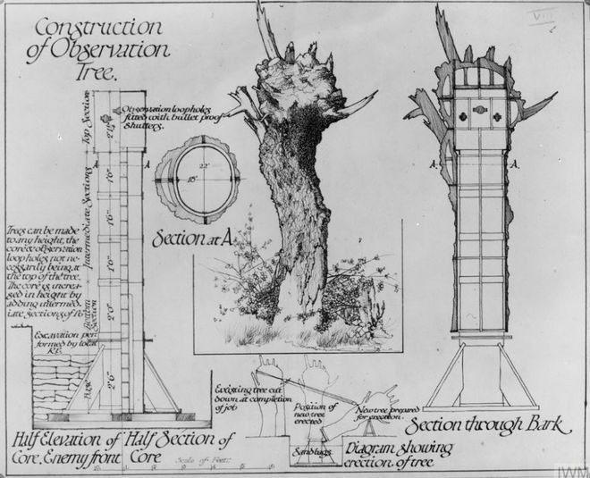 Picture 2 of Unique 'camouflage' method for watchtowers during World War I