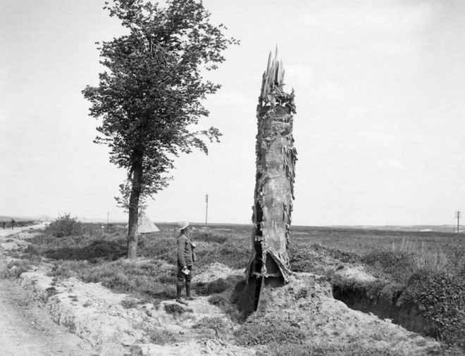 Picture 6 of Unique 'camouflage' method for watchtowers during World War I