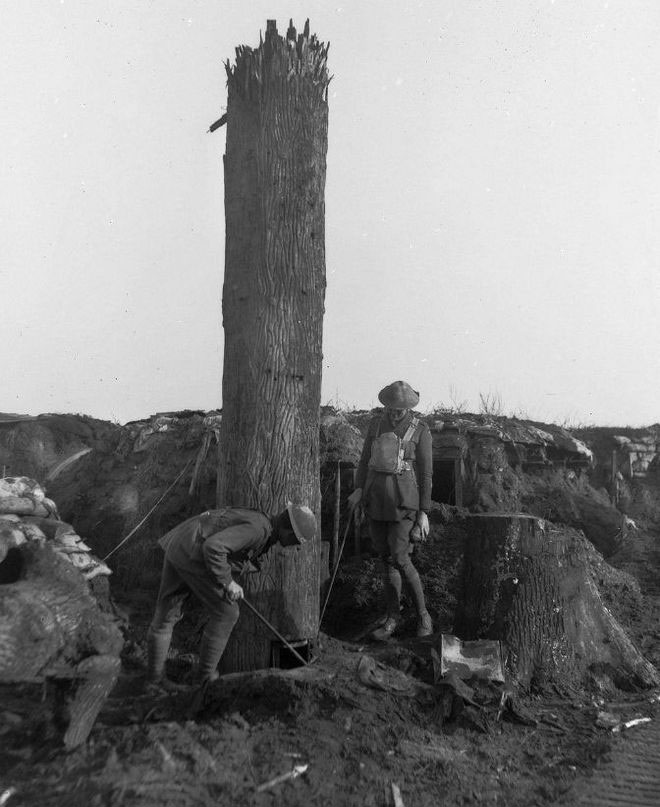 Picture 9 of Unique 'camouflage' method for watchtowers during World War I