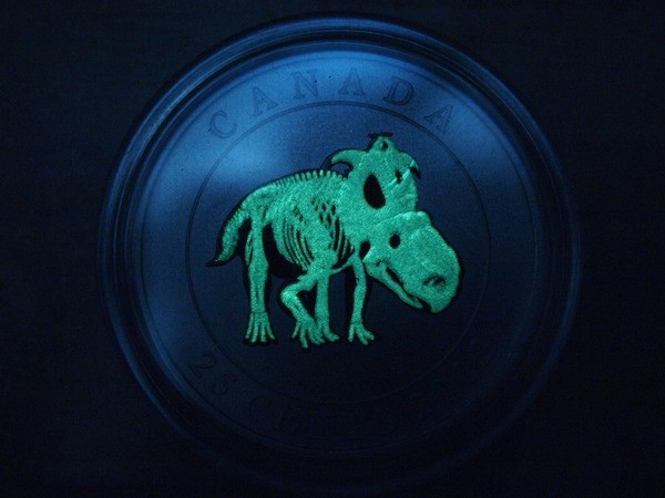 Picture 14 of Unique coins in the world