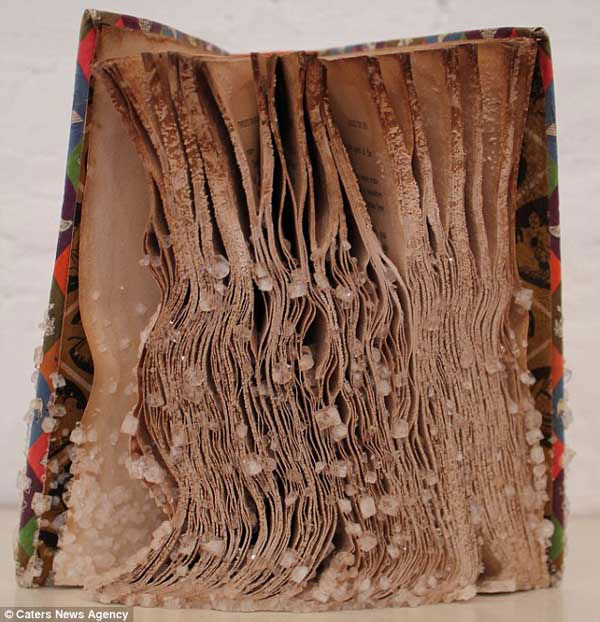 Picture 10 of Unique crystal books