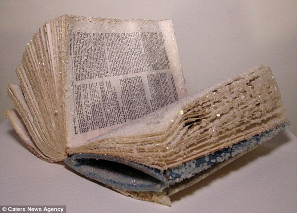 Picture 4 of Unique crystal books