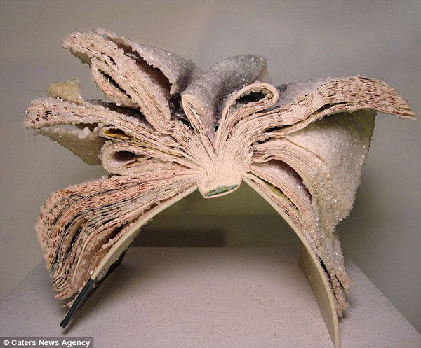 Picture 5 of Unique crystal books
