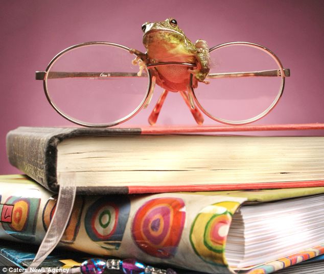 Picture 2 of Unique, frog as a model