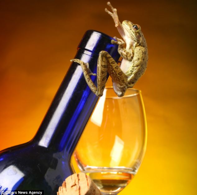 Picture 3 of Unique, frog as a model