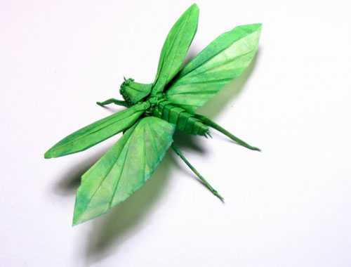 Picture 3 of Unique insect collection by ... paper
