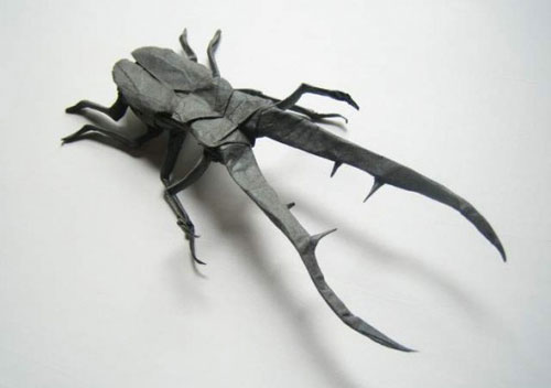 Picture 5 of Unique insect collection by ... paper