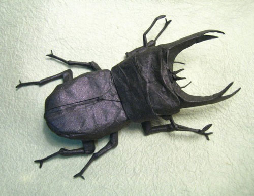 Picture 6 of Unique insect collection by ... paper