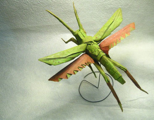 Picture 7 of Unique insect collection by ... paper
