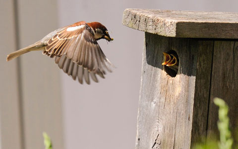 Picture 10 of Unique moments of animals