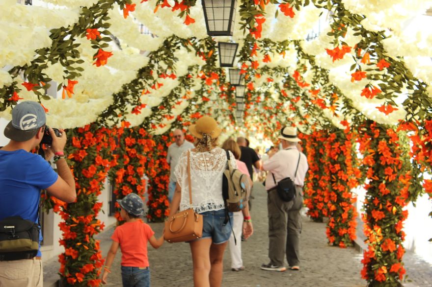 Picture 10 of Unique road covered with confetti in Portugal