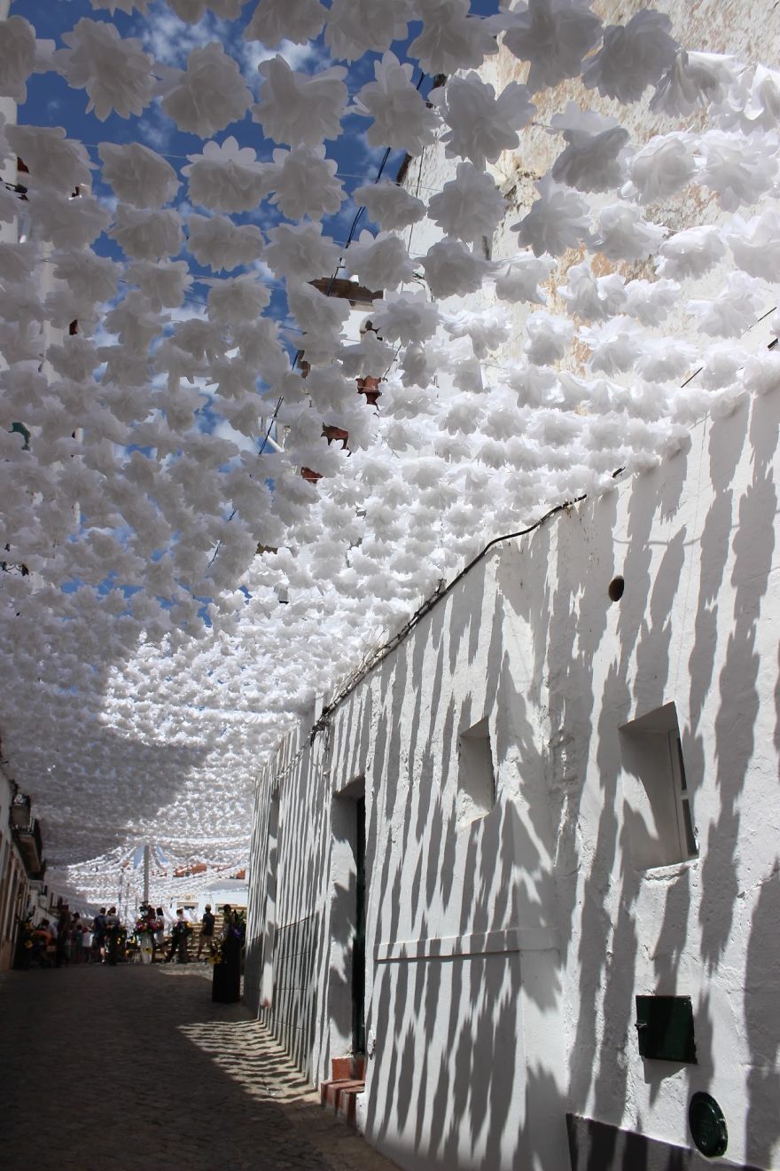 Picture 13 of Unique road covered with confetti in Portugal