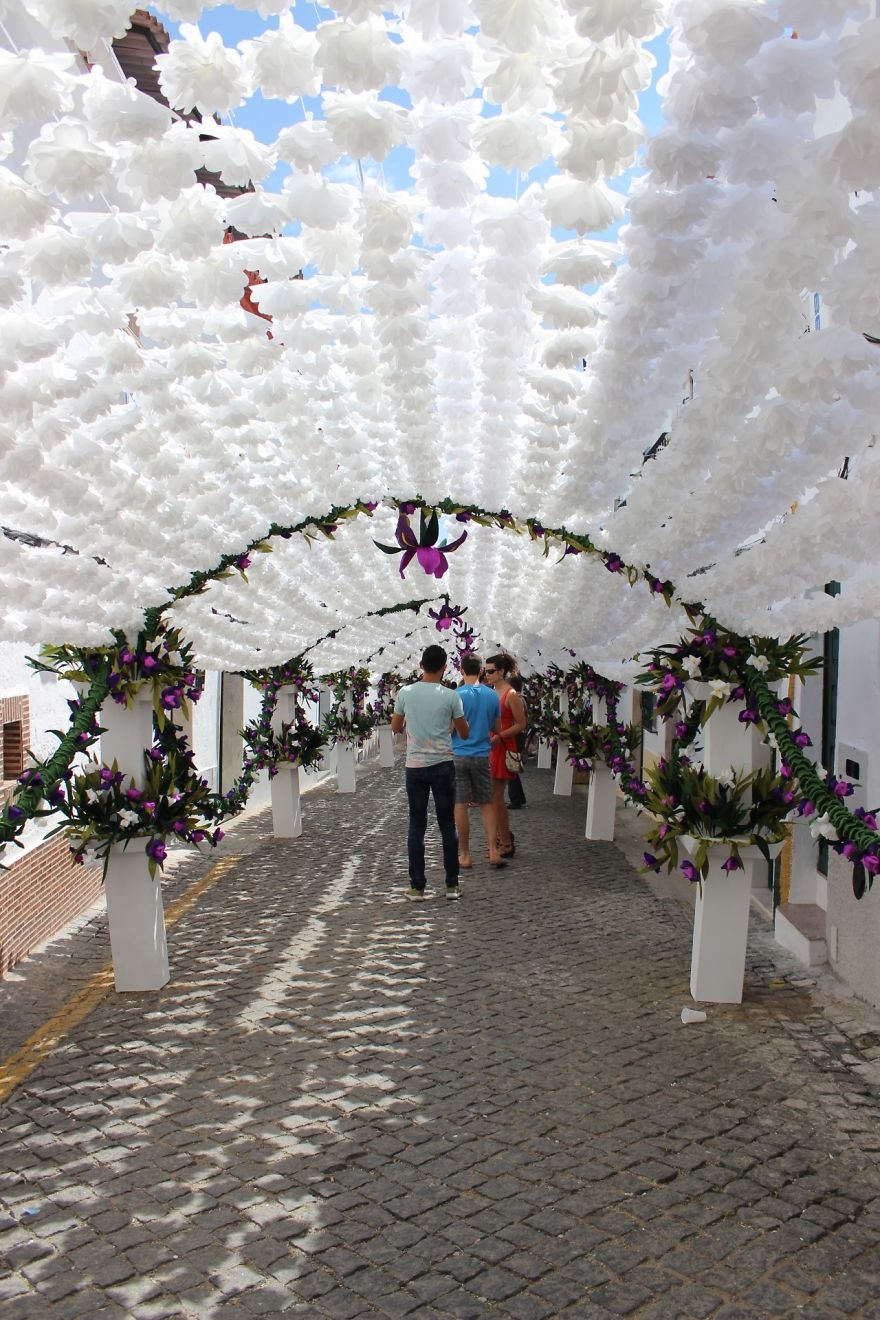 Picture 5 of Unique road covered with confetti in Portugal
