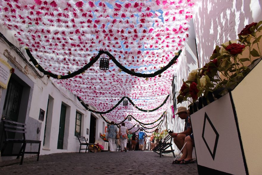 Picture 6 of Unique road covered with confetti in Portugal