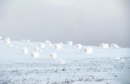 Picture 5 of Unique snow packs in the US