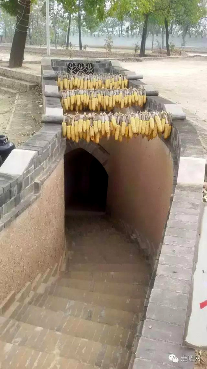 Picture 18 of Unique underground village in China