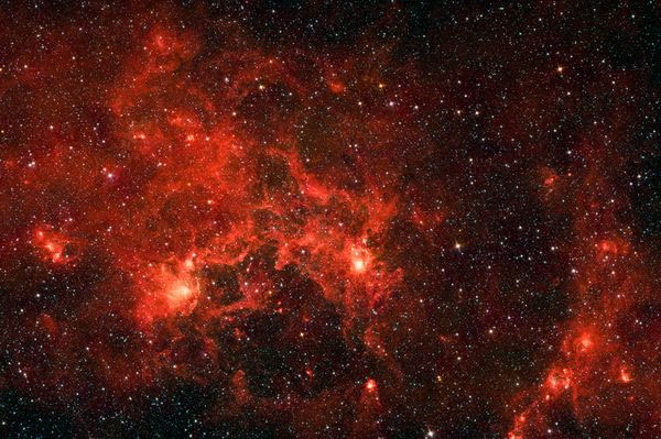 Picture 5 of Universe photo: Beautiful butterfly wings in the universe