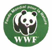 Picture 2 of Unknown things about giant pandas