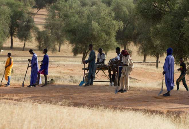 Picture 3 of Unprecedented in Africa: The giant green 'wall' is over 8,000km long stretching across 20 countries