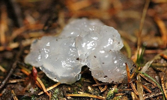 Picture 9 of Unusual weather phenomena in the world