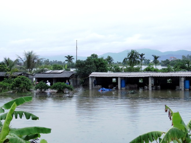 Picture 10 of Uong Bi city flooded due to flooding, Yen Tu was isolated