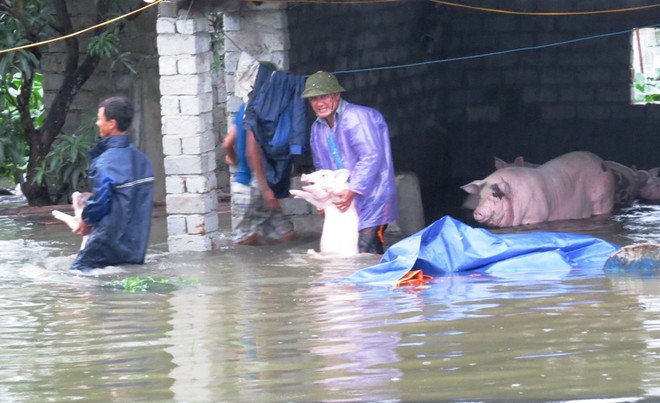 Picture 11 of Uong Bi city flooded due to flooding, Yen Tu was isolated