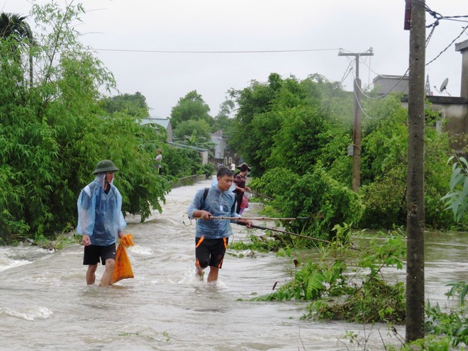 Picture 13 of Uong Bi city flooded due to flooding, Yen Tu was isolated