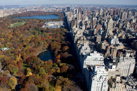 Picture 1 of Urban 'swallowed' 20,000 football fields every day