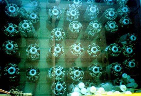 Picture 1 of US: Call for recycling nuclear fuel