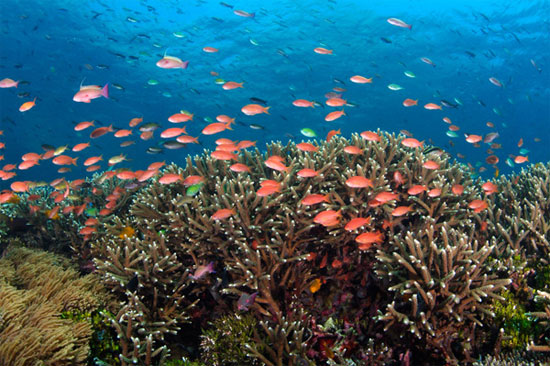 Picture 1 of USAID funded research on environmental resources