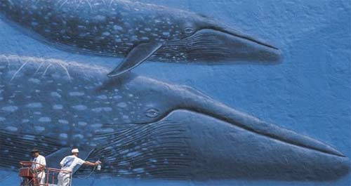 Picture 1 of Use art to protect the natural environment