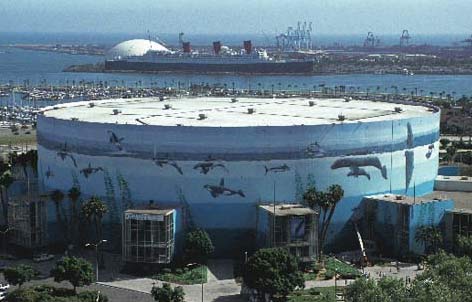 Picture 6 of Use art to protect the natural environment