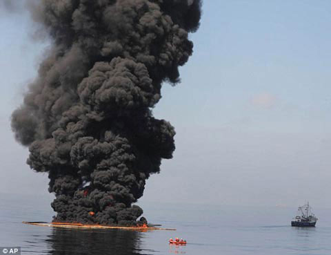 Picture 6 of Use hair to 'save' the Gulf of Mexico