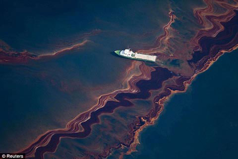 Picture 7 of Use hair to 'save' the Gulf of Mexico