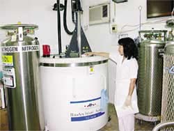 Picture 2 of Use placenta to save people
