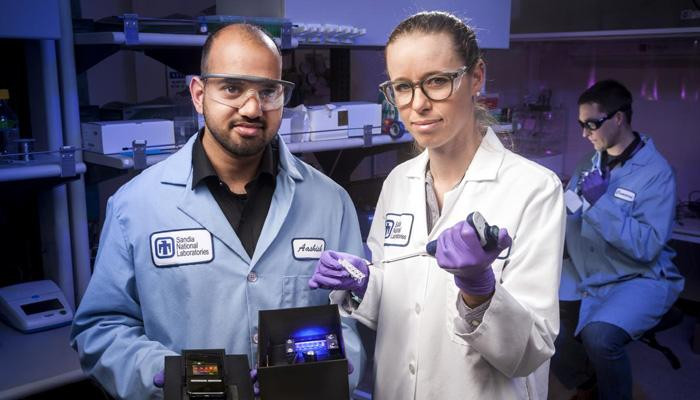 Picture 1 of Use smartphones to detect early viral diseases from mosquitoes